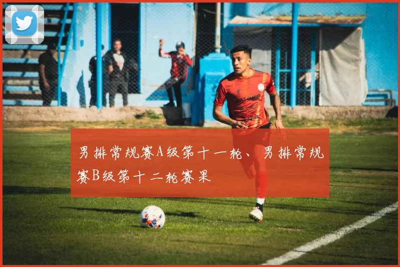 男排常规赛A级第十一轮、男排常规赛B级第十二轮赛果