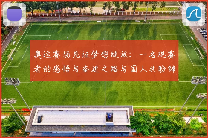 奥运赛场见证梦想绽放：一名观赛者的感悟与奋进之路与国人共盼锦标再续