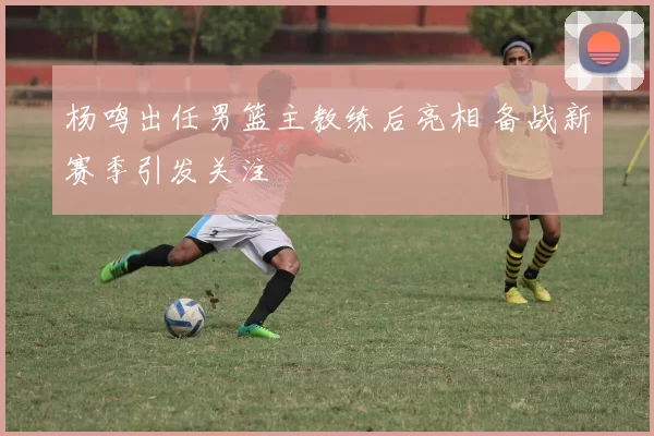 杨鸣出任男篮主教练后亮相 备战新赛季引发关注