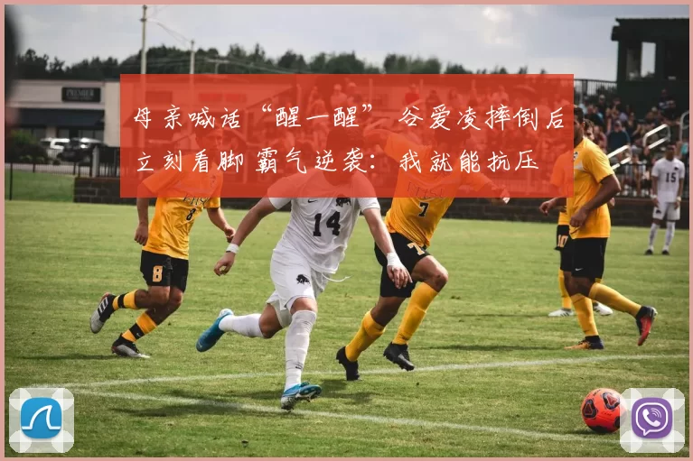 母亲喊话“醒一醒” 谷爱凌摔倒后立刻看脚 霸气逆袭：我就能抗压