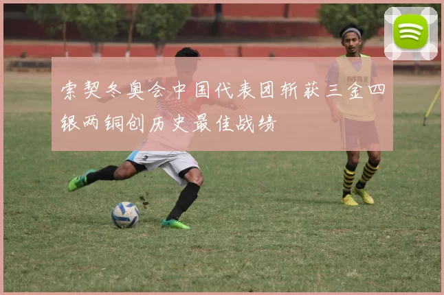 索契冬奥会中国代表团斩获三金四银两铜创历史最佳战绩